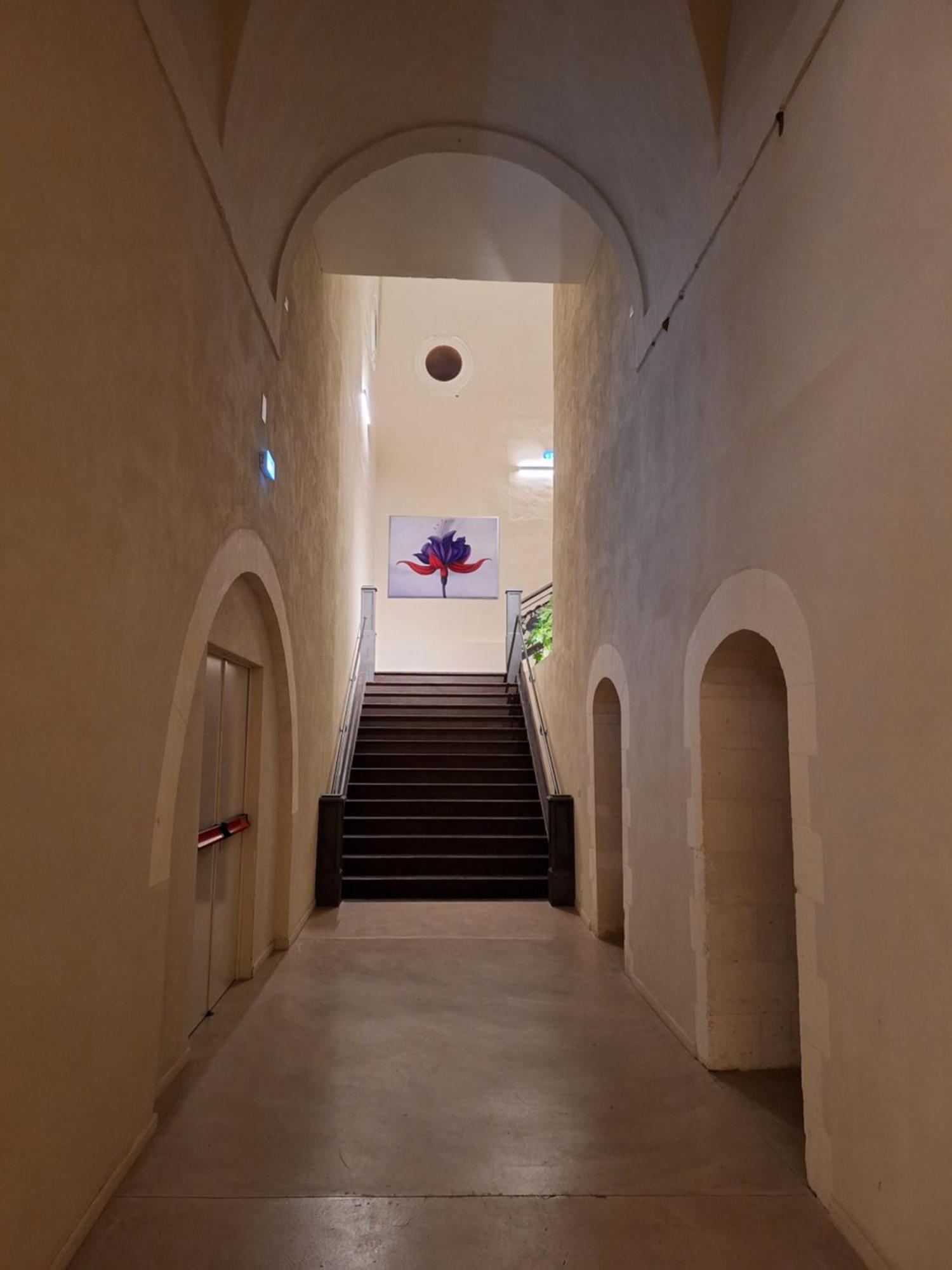 Chiostro Dei Domenicani - Dimora Storica Lecce Zewnętrze zdjęcie